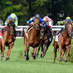 Excellent Truth - Coglianese Photo