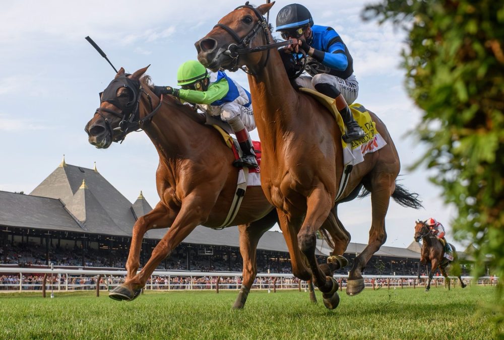 Excellent Truth - Diana Stakes G1 - Coglianese Photo