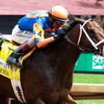 Fierceness - Alysheba G2 - Coady Media