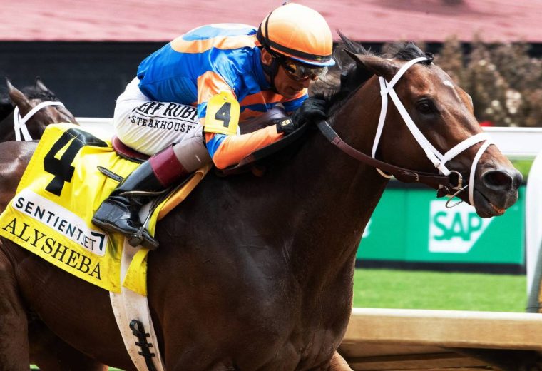 Fierceness - Alysheba G2 - Coady Media