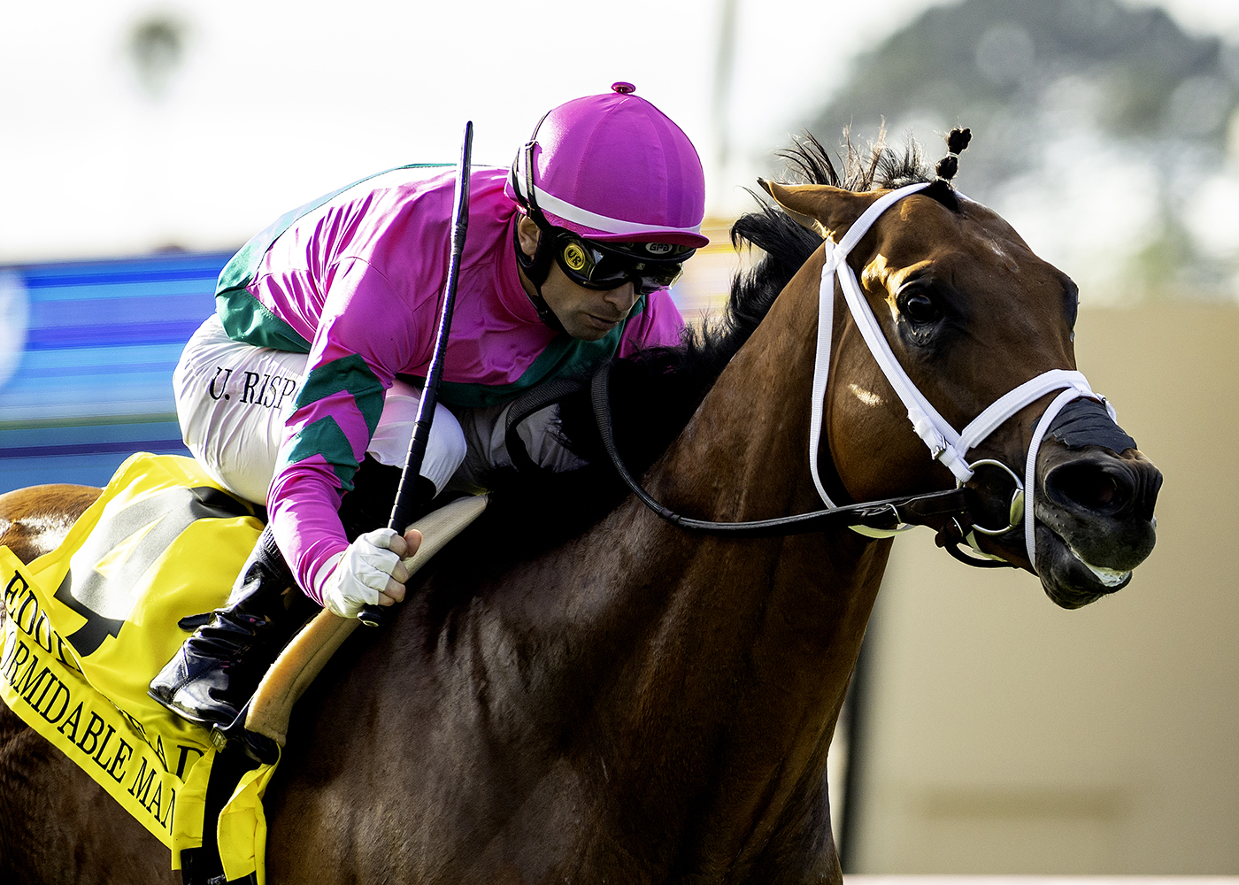 Formidable Man de 5-5 en Del Mar al ganar el Eddie Read G2T ...