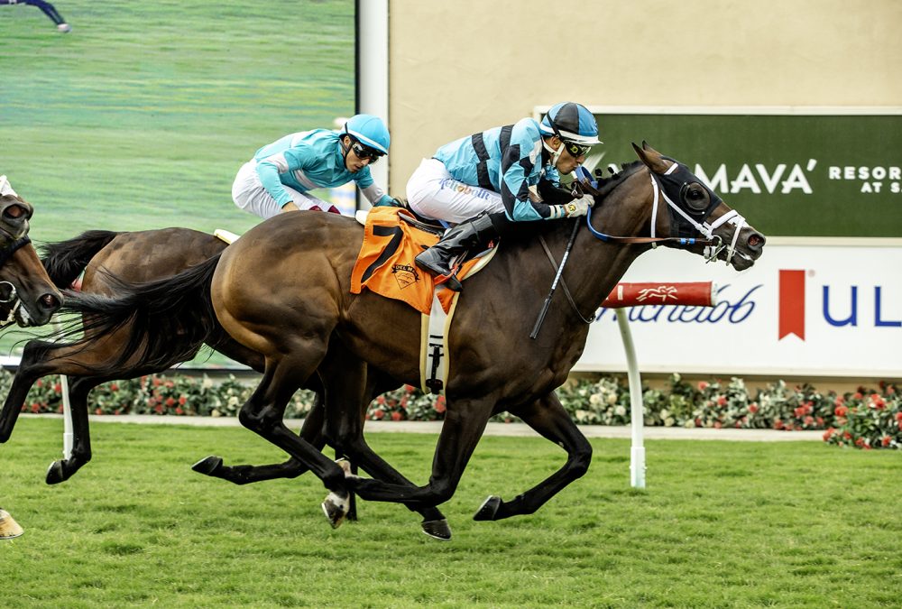 Game Warrior - Oceanside Stakes - Del Mar Thoroughbred Club - © BENOIT PHOTO