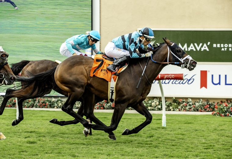 Game Warrior - Oceanside Stakes - Del Mar Thoroughbred Club - © BENOIT PHOTO