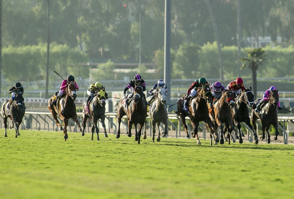 Santa Anita Park - Benoit Photo