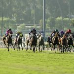 Santa Anita Park - Benoit Photo
