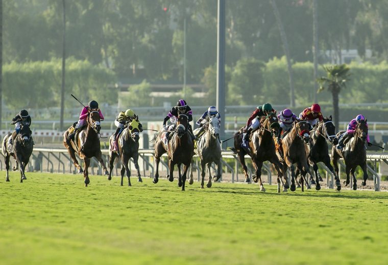 Santa Anita Park - Benoit Photo