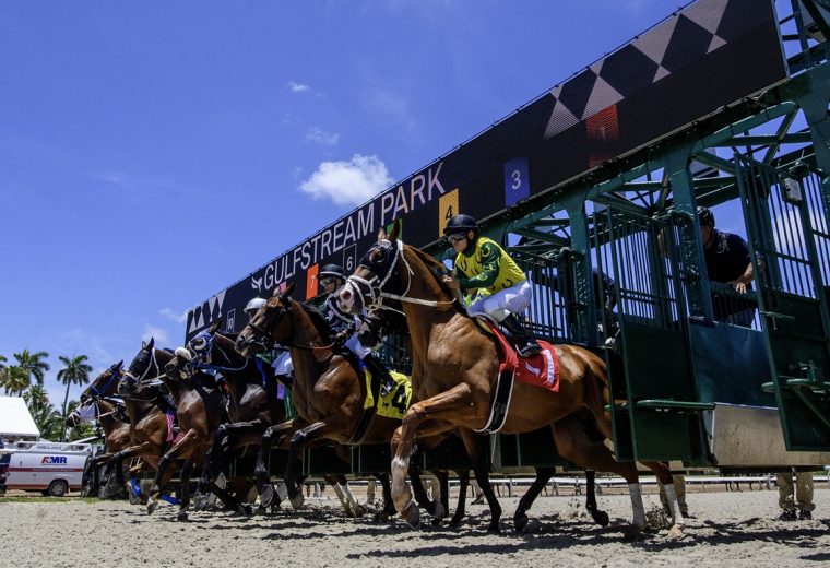 Gulfstream Park Start - Ryan Thompson/Coglianese Photo