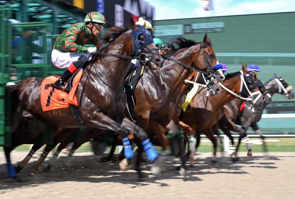 Gulfstream scenic start - Ryan Thompson/Coglianese Photo