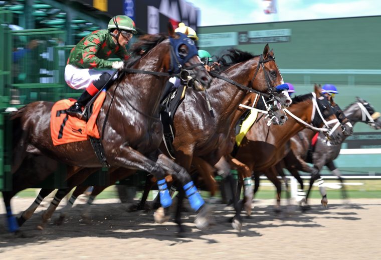 Gulfstream scenic start - Ryan Thompson/Coglianese Photo