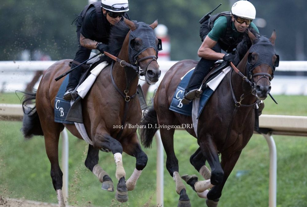 Hill Road - Sierra Leone - Barbara D. Livingston - Daily Racing Form
