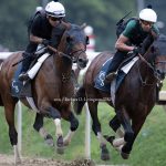 Hill Road - Sierra Leone - Barbara D. Livingston - Daily Racing Form