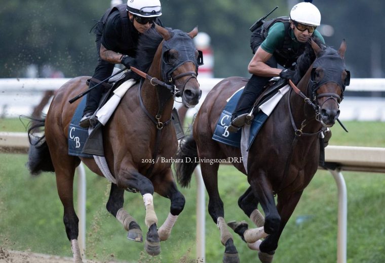 Hill Road - Sierra Leone - Barbara D. Livingston - Daily Racing Form