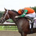 Journalism - Monmouth Park - EQUI-PHOTO
