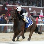 La Cara - Acorn G1 - Coglianese Photos