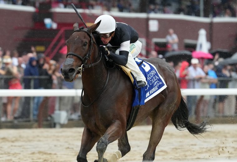 La Cara - Acorn G1 - Coglianese Photos