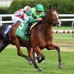 Lavender Disaster - Coglianese Photos