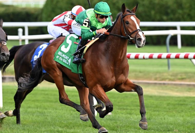 Lavender Disaster - Coglianese Photos