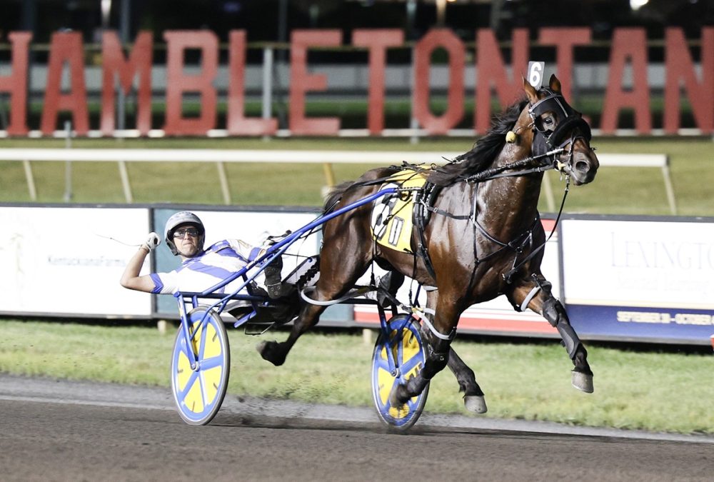 Meadowlands - Foto: Nikki Sherman / DRF Harness