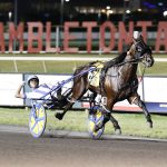 Meadowlands - Foto: Nikki Sherman / DRF Harness