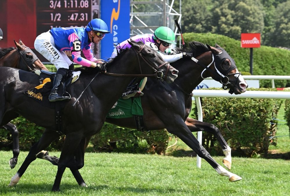 Leon Blue - Rick Violette Stakes - Coglianese Photo