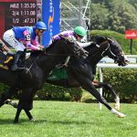 Leon Blue - Rick Violette Stakes - Coglianese Photo