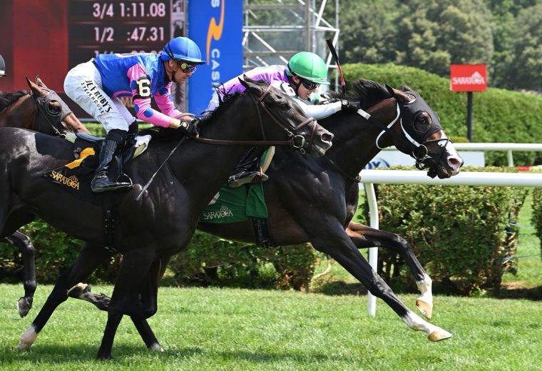 Leon Blue - Rick Violette Stakes - Coglianese Photo