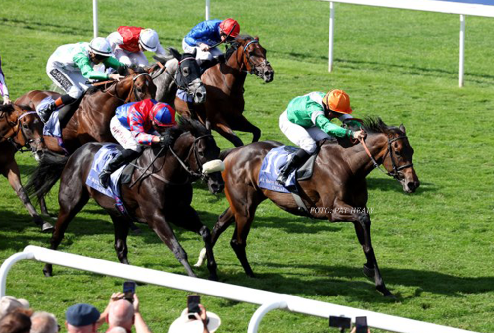 NO HALF MEASURES (July Cup Grupo 1) - Foto Pat Healy