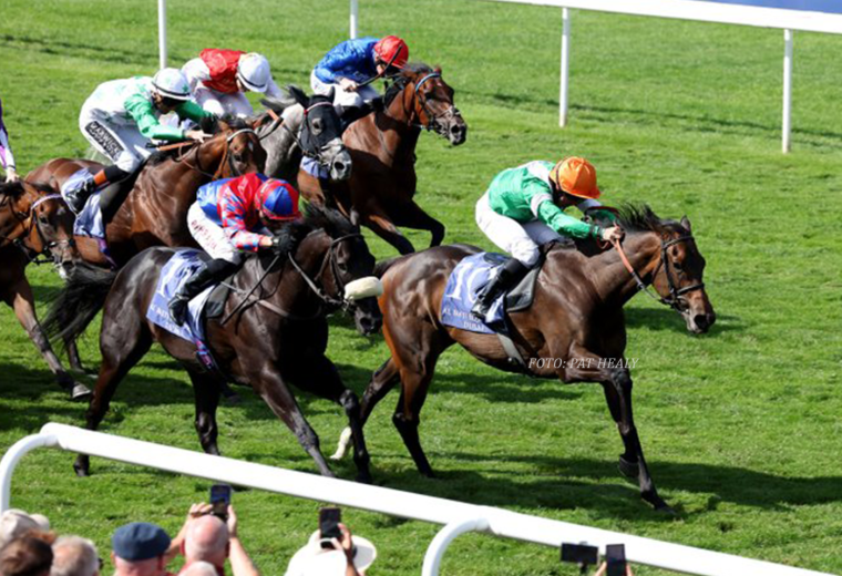 NO HALF MEASURES (July Cup Grupo 1) - Foto Pat Healy