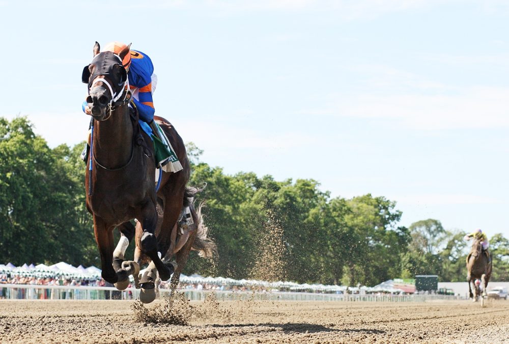 Neoequos - Jersey Shore Stakes - Bill Denver/EQUI-PHOTO epr