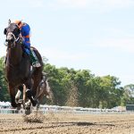 Neoequos - Jersey Shore Stakes - Bill Denver/EQUI-PHOTO epr
