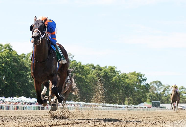 Neoequos - Jersey Shore Stakes - Bill Denver/EQUI-PHOTO epr