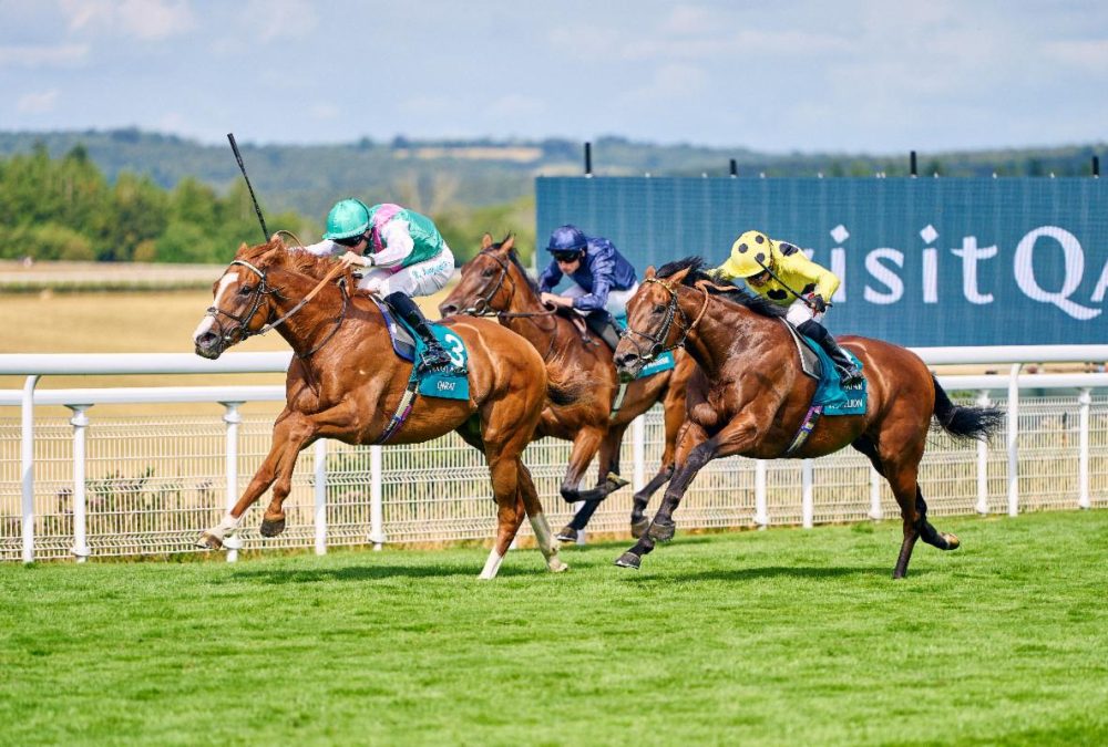 Qirat - Sussex Stakes - credit: Goodwood Racecourse