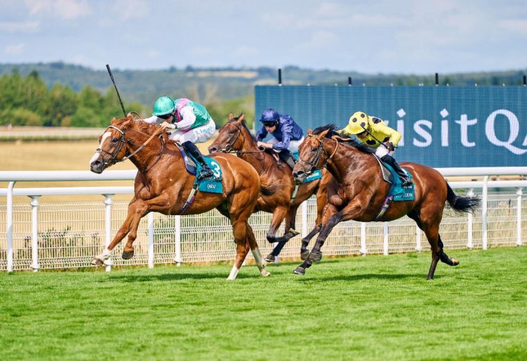 Qirat - Sussex Stakes - credit: Goodwood Racecourse