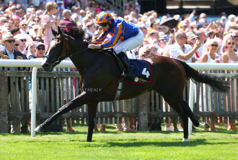 Scandinavia (Justify) Foto credito PAT HEALY / Newmarket