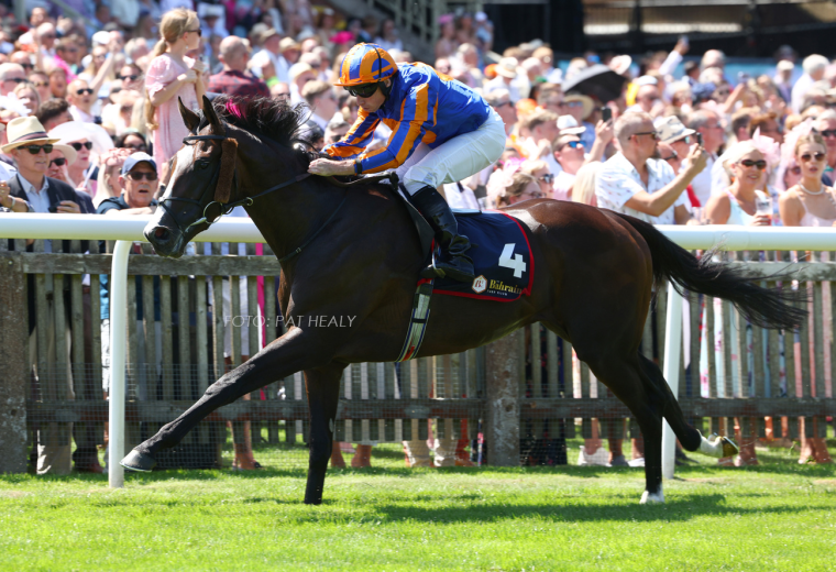 Scandinavia (Justify) Foto credito PAT HEALY / Newmarket
