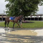 Fasig-Tipton 2 Year-Olds in Traing Sale, Timonium, MD - Solo para uso editorial