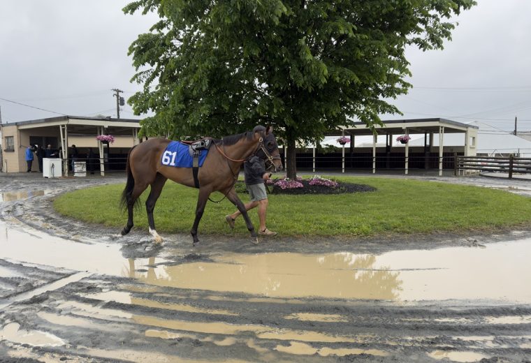 Fasig-Tipton 2 Year-Olds in Traing Sale, Timonium, MD - Solo para uso editorial