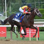 Smoken Wicked - Amsterdam Stakes G2 - Coglianese Photo