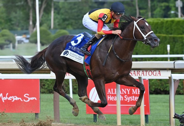 Smoken Wicked - Amsterdam Stakes G2 - Coglianese Photo