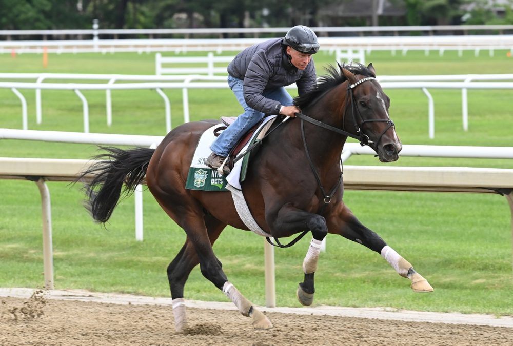 Sovereignty - Coglianese Photo