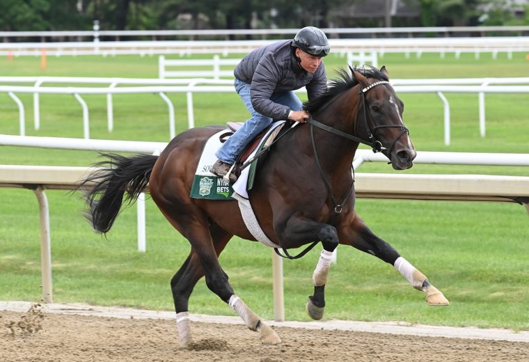 Sovereignty - Coglianese Photo
