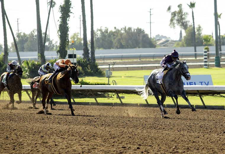 Sweet Azteca - GII $200,000 Great Lady M Stakes - Benoit Photo