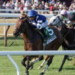 Test Score - Coglianese Photo