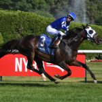 Think Big - Coglianese Photo