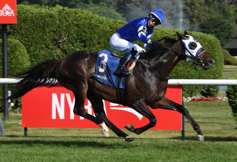 Think Big - Coglianese Photo