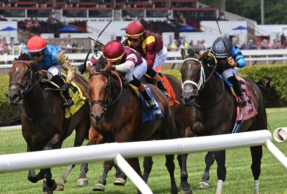 Deep Satin - the De La Rose - credit Chelsea Durand / Coglianese Photo