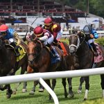 Deep Satin - the De La Rose - credit Chelsea Durand / Coglianese Photo