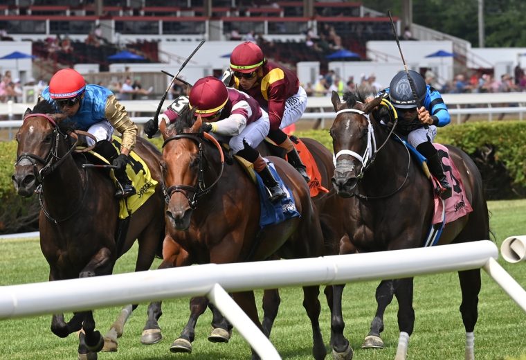 Deep Satin - the De La Rose - credit Chelsea Durand / Coglianese Photo