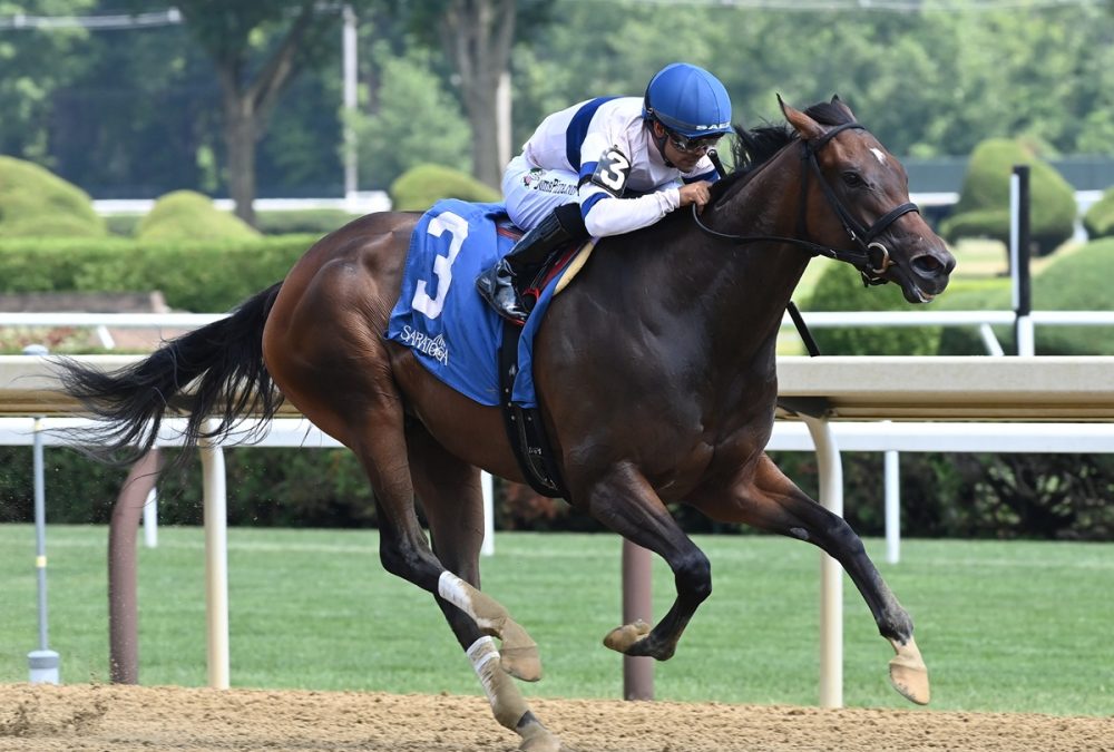 Echo Sound - Coglianese Photo