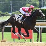 Ewing - Foto: Coglianese Photo
